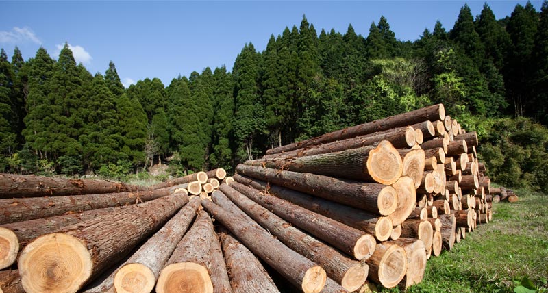 Leica Geosystems Forestry Solutions